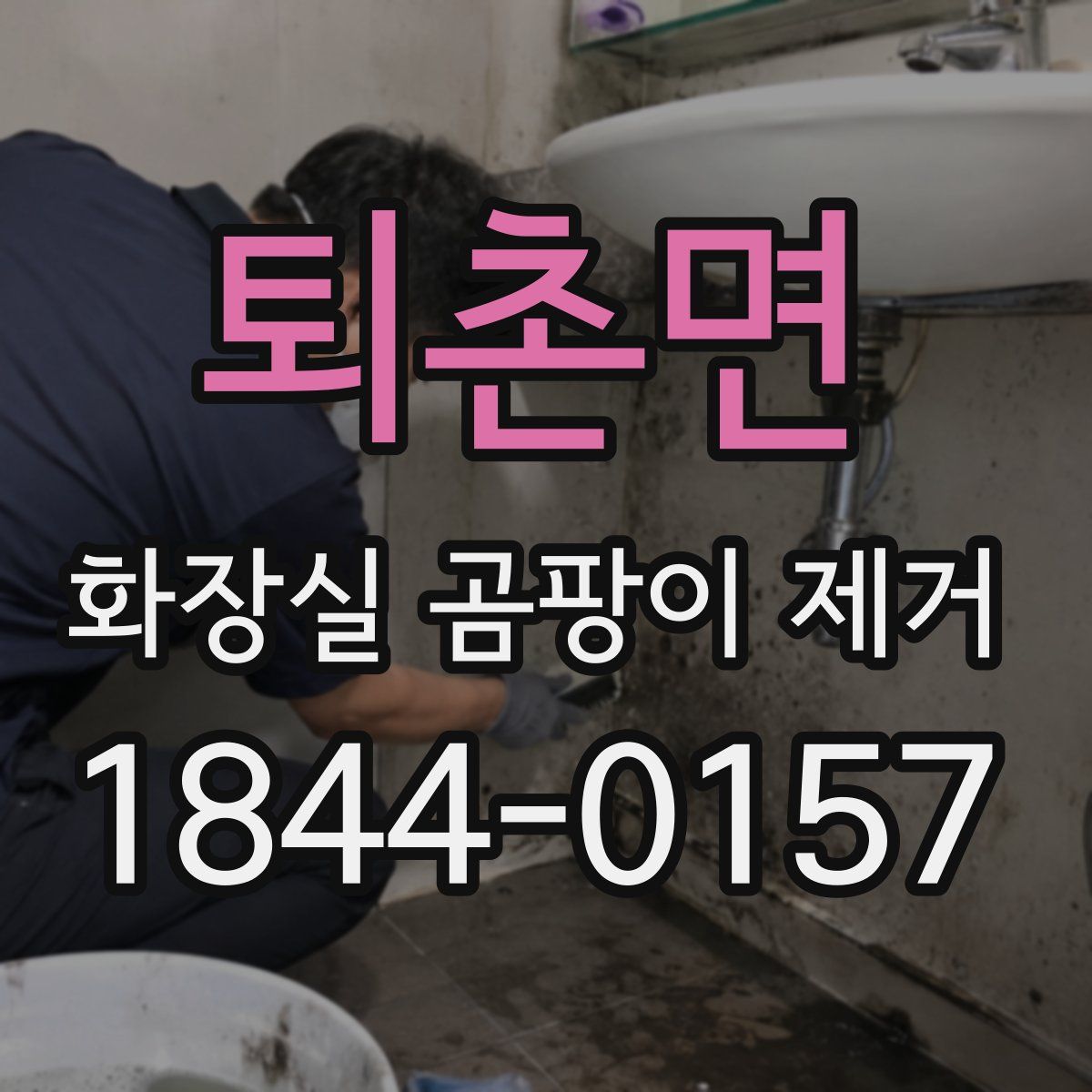 퇴촌면 화장실 곰팡이 제거