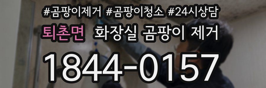 퇴촌면 화장실 곰팡이 제거