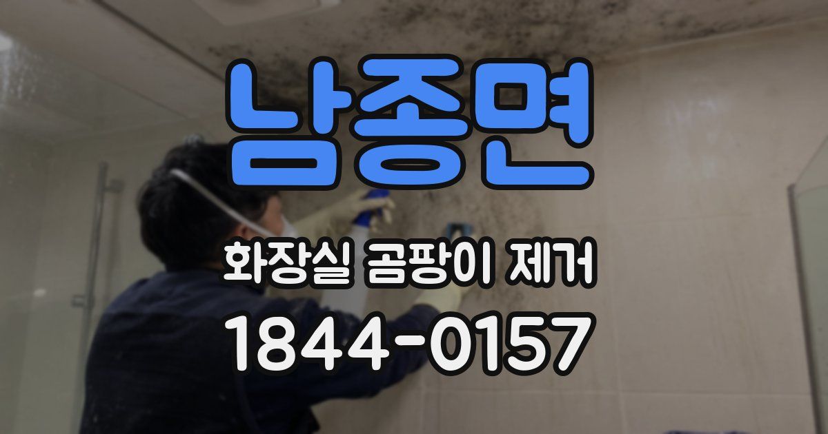 남종면 화장실 곰팡이 제거