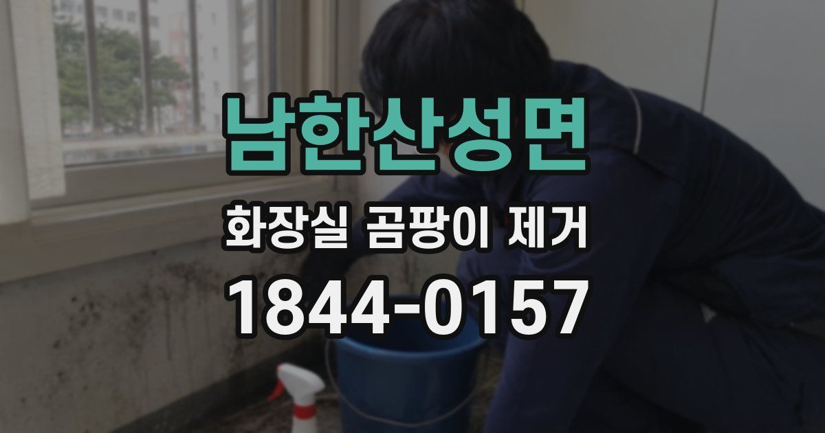 남한산성면 화장실 곰팡이 제거