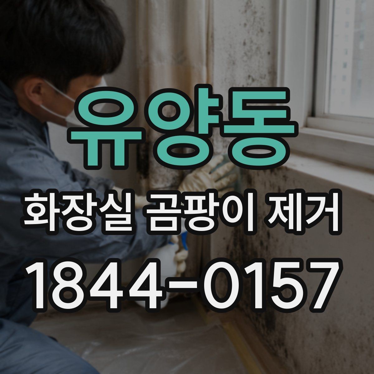 유양동 화장실 곰팡이 제거 습한 날씨에 냄새까지 함께 줄이는 법