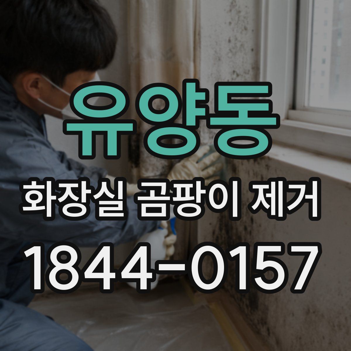 유양동 화장실 곰팡이 제거