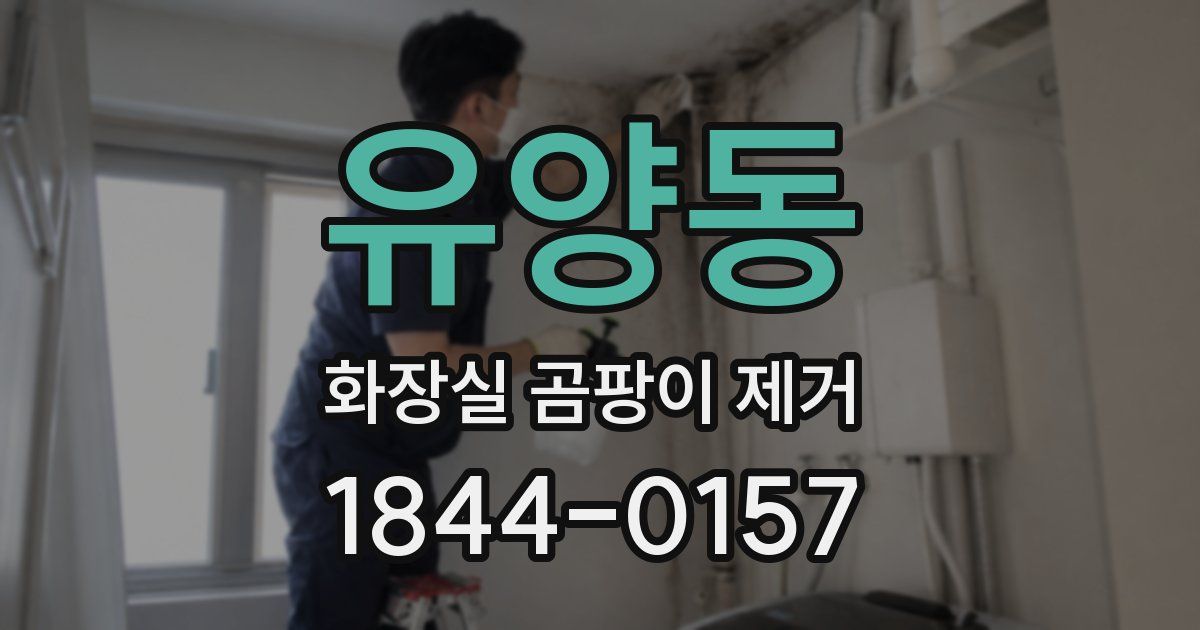 유양동 화장실 곰팡이 제거