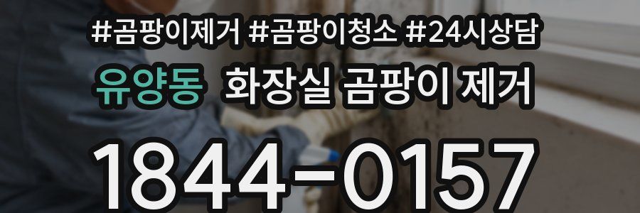 유양동 화장실 곰팡이 제거