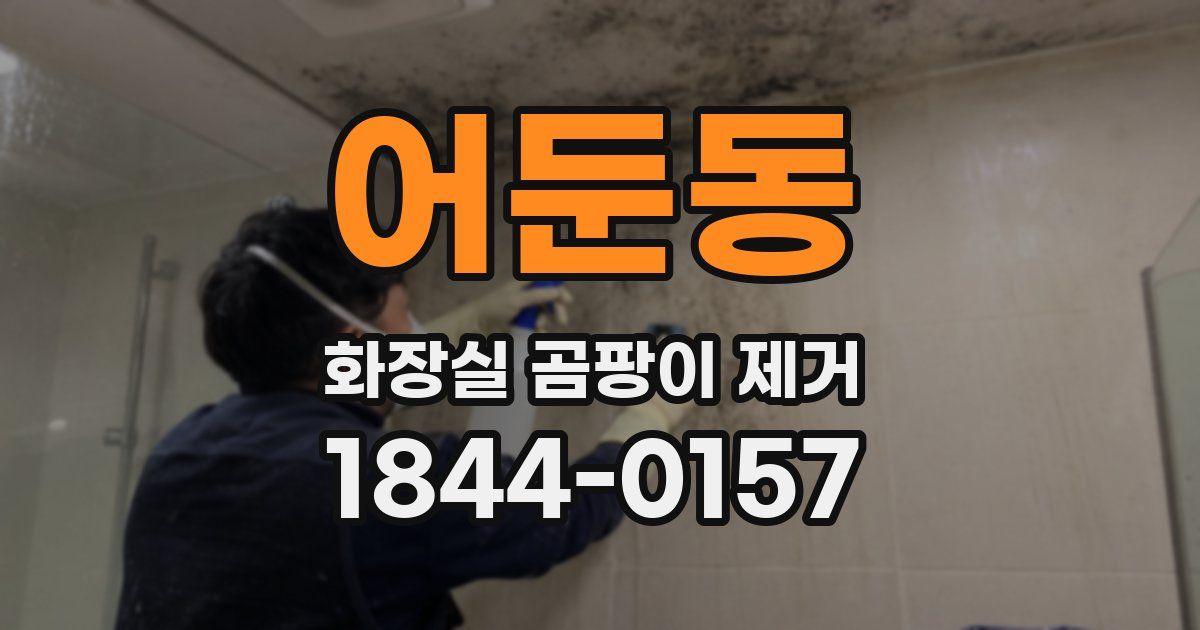 어둔동 화장실 곰팡이 제거