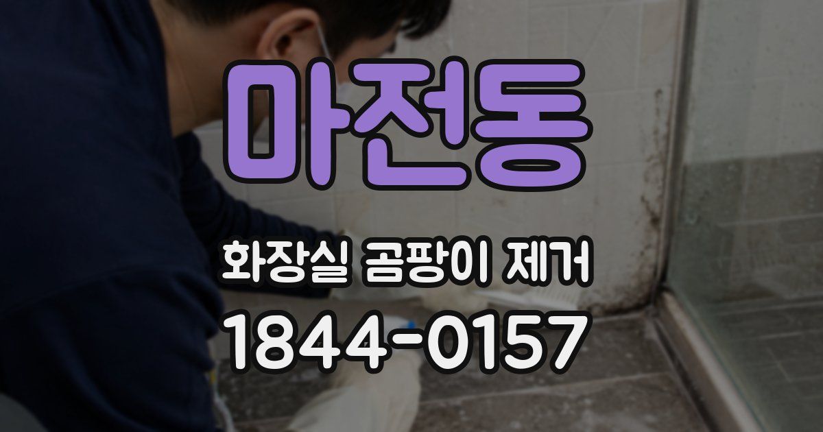 마전동 화장실 곰팡이 제거