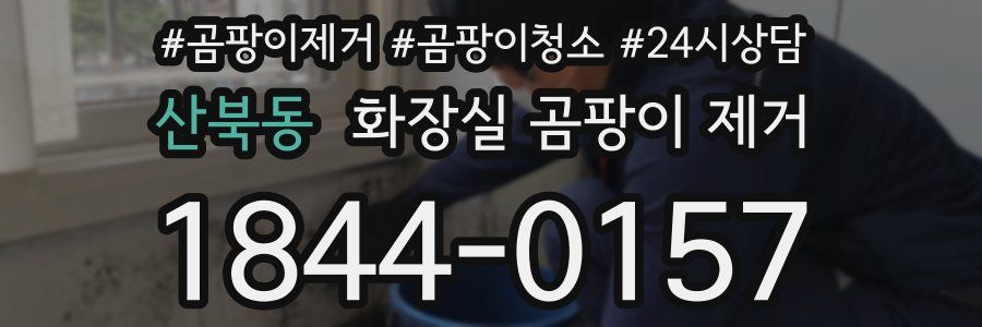 산북동 화장실 곰팡이 제거