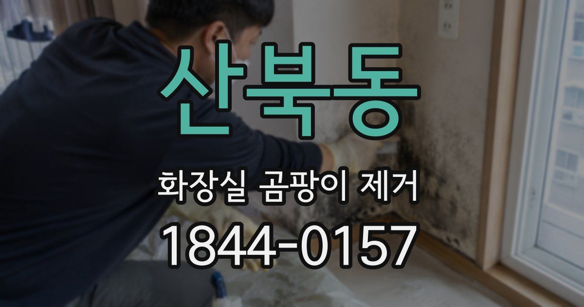 산북동 화장실 곰팡이 제거