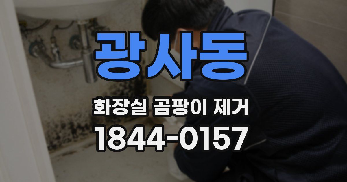 광사동 화장실 곰팡이 제거