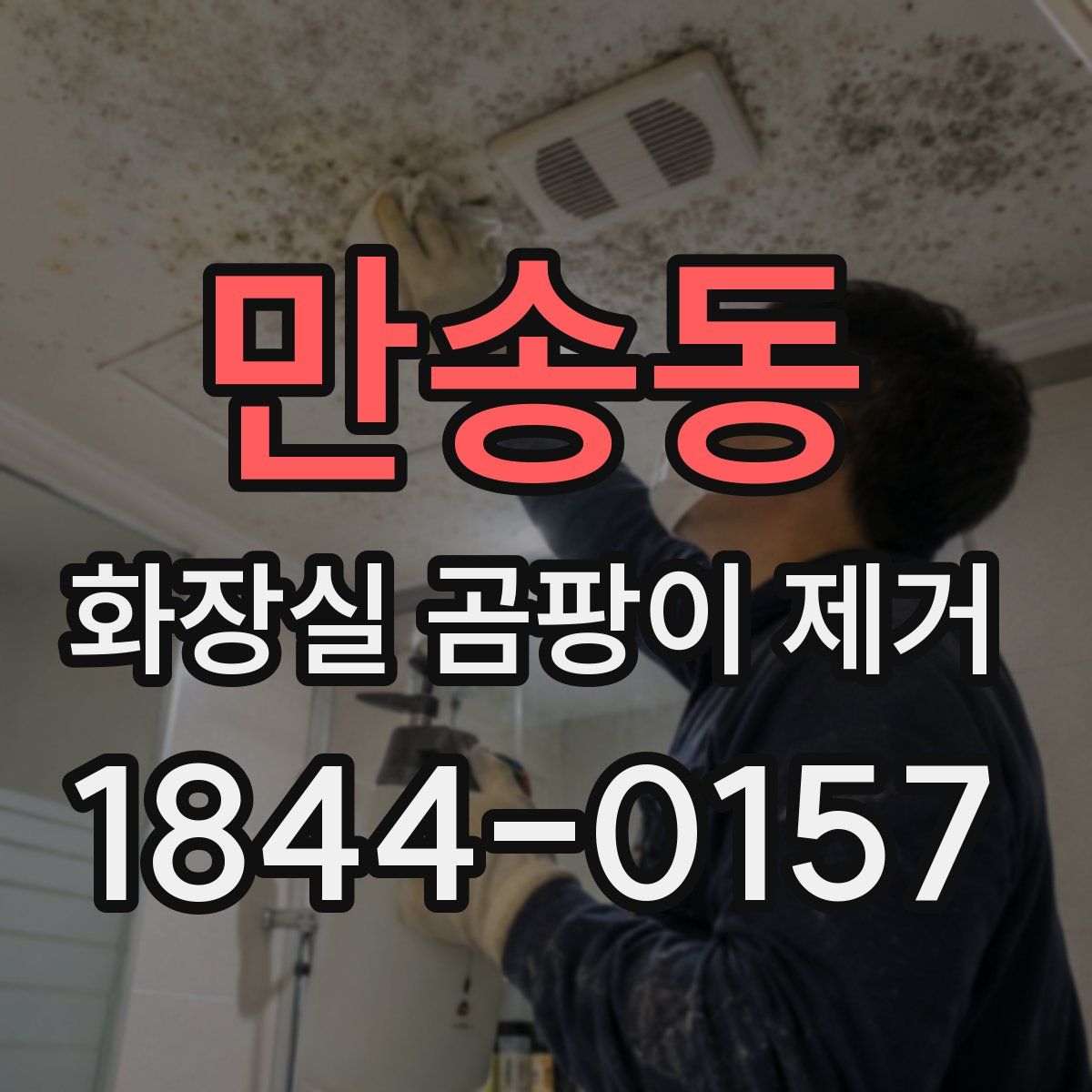 만송동 화장실 곰팡이 제거
