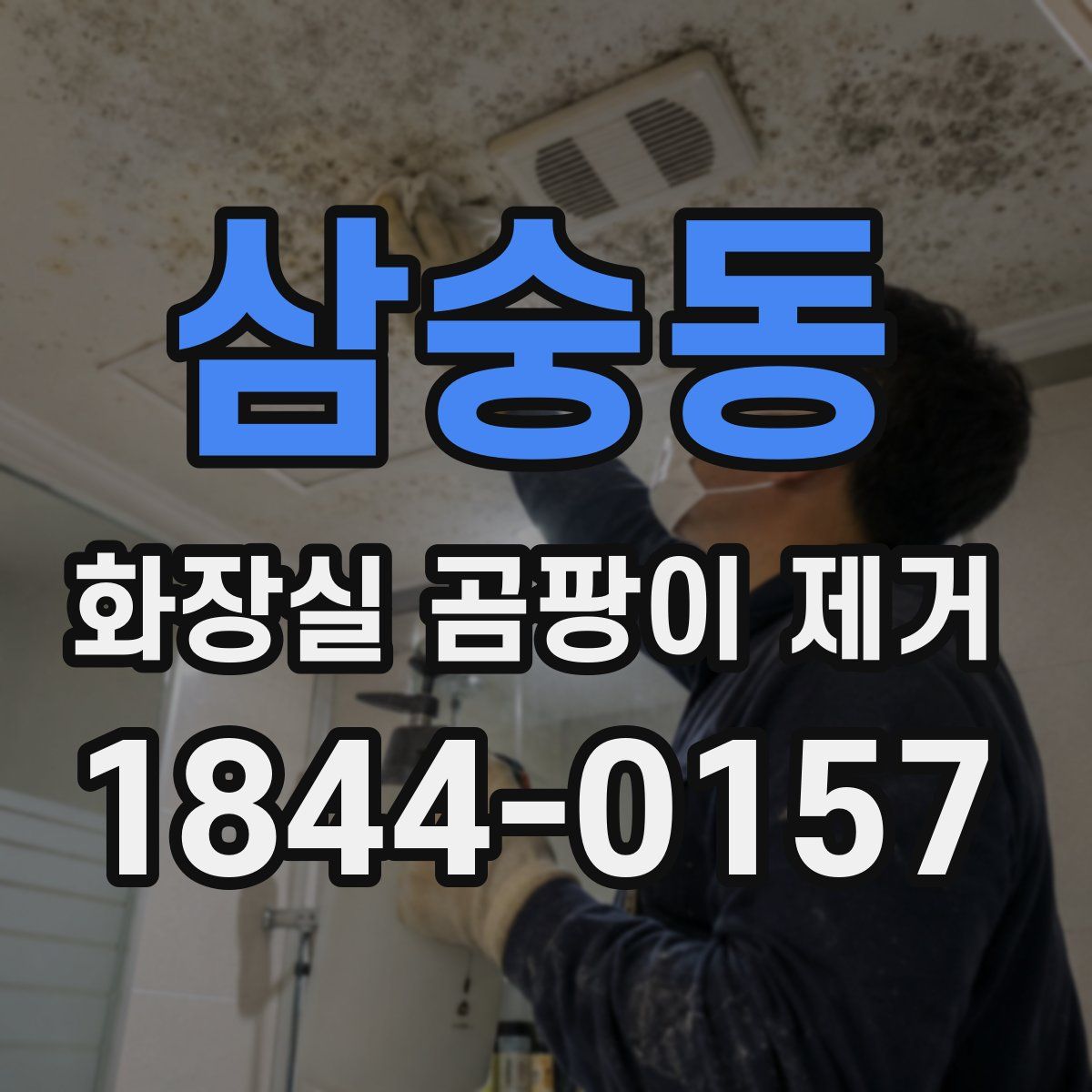 삼숭동 화장실 곰팡이 제거