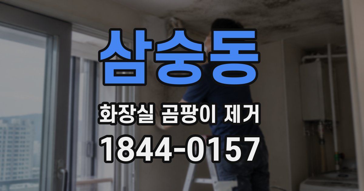 삼숭동 화장실 곰팡이 제거
