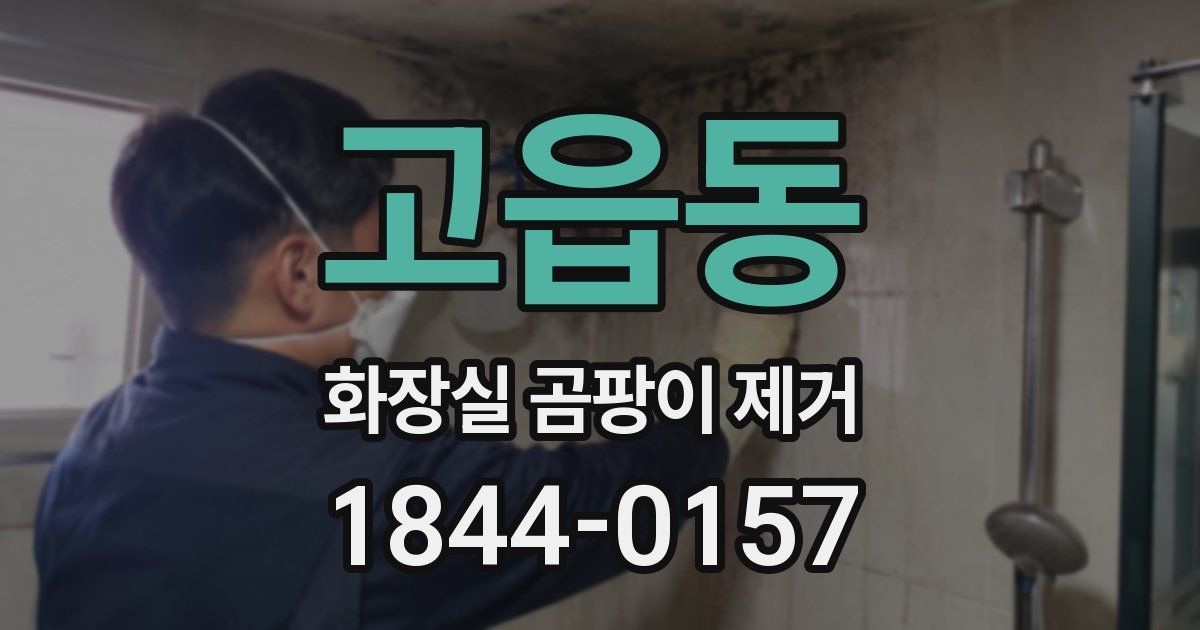 고읍동 화장실 곰팡이 제거