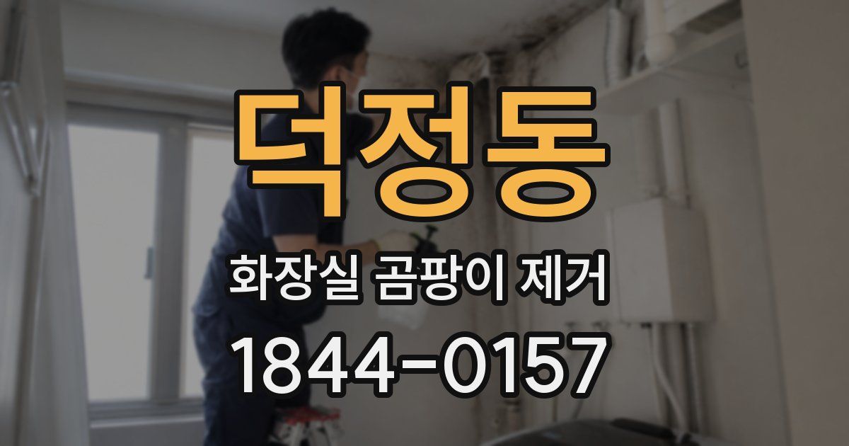 덕정동 화장실 곰팡이 제거