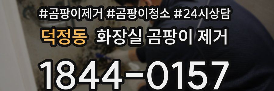 덕정동 화장실 곰팡이 제거