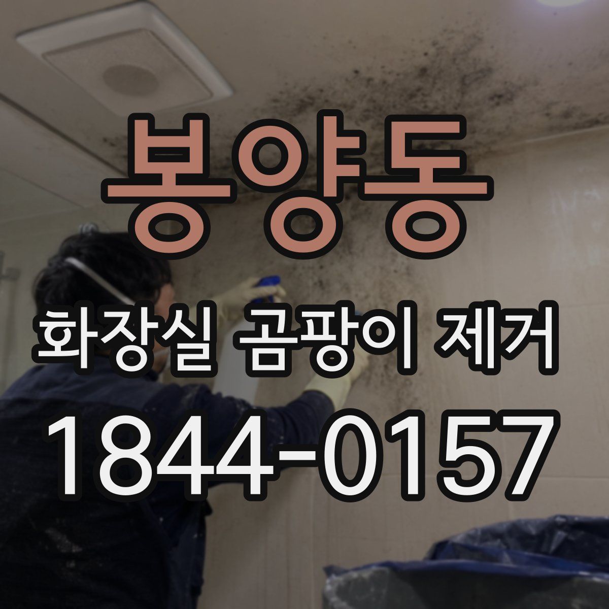 봉양동 화장실 곰팡이 제거