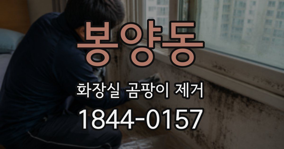 봉양동 화장실 곰팡이 제거