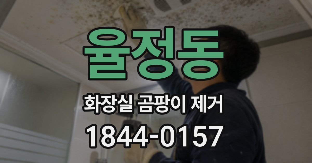 율정동 화장실 곰팡이 제거