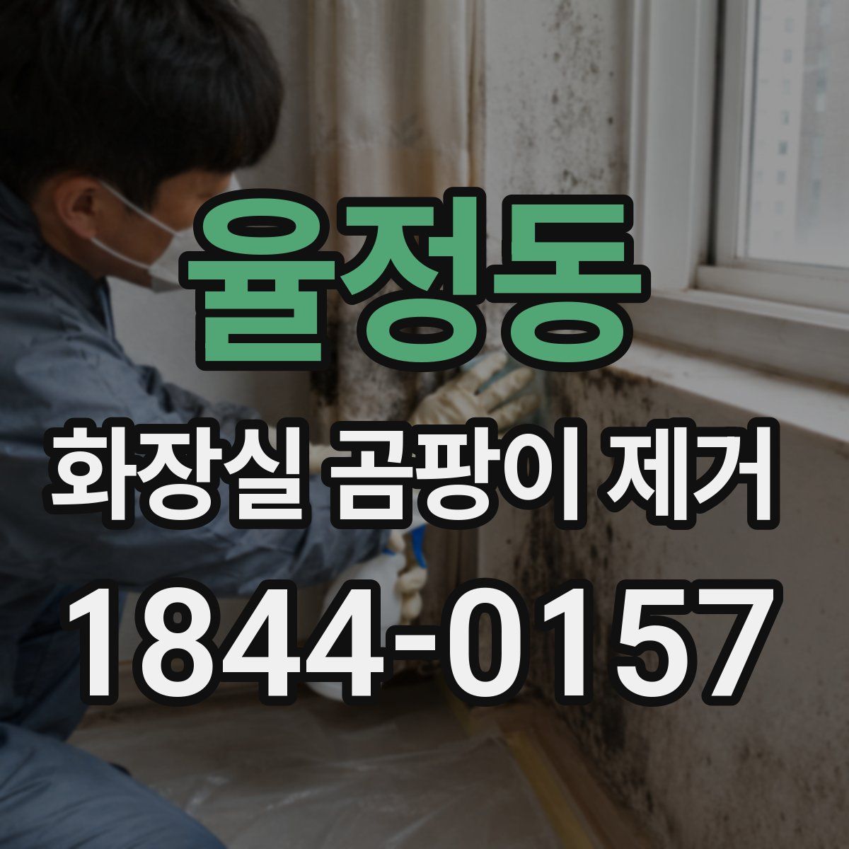 율정동 화장실 곰팡이 제거