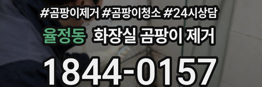 율정동 화장실 곰팡이 제거