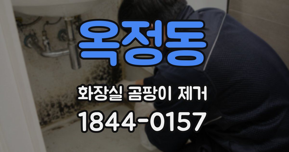 옥정동 화장실 곰팡이 제거