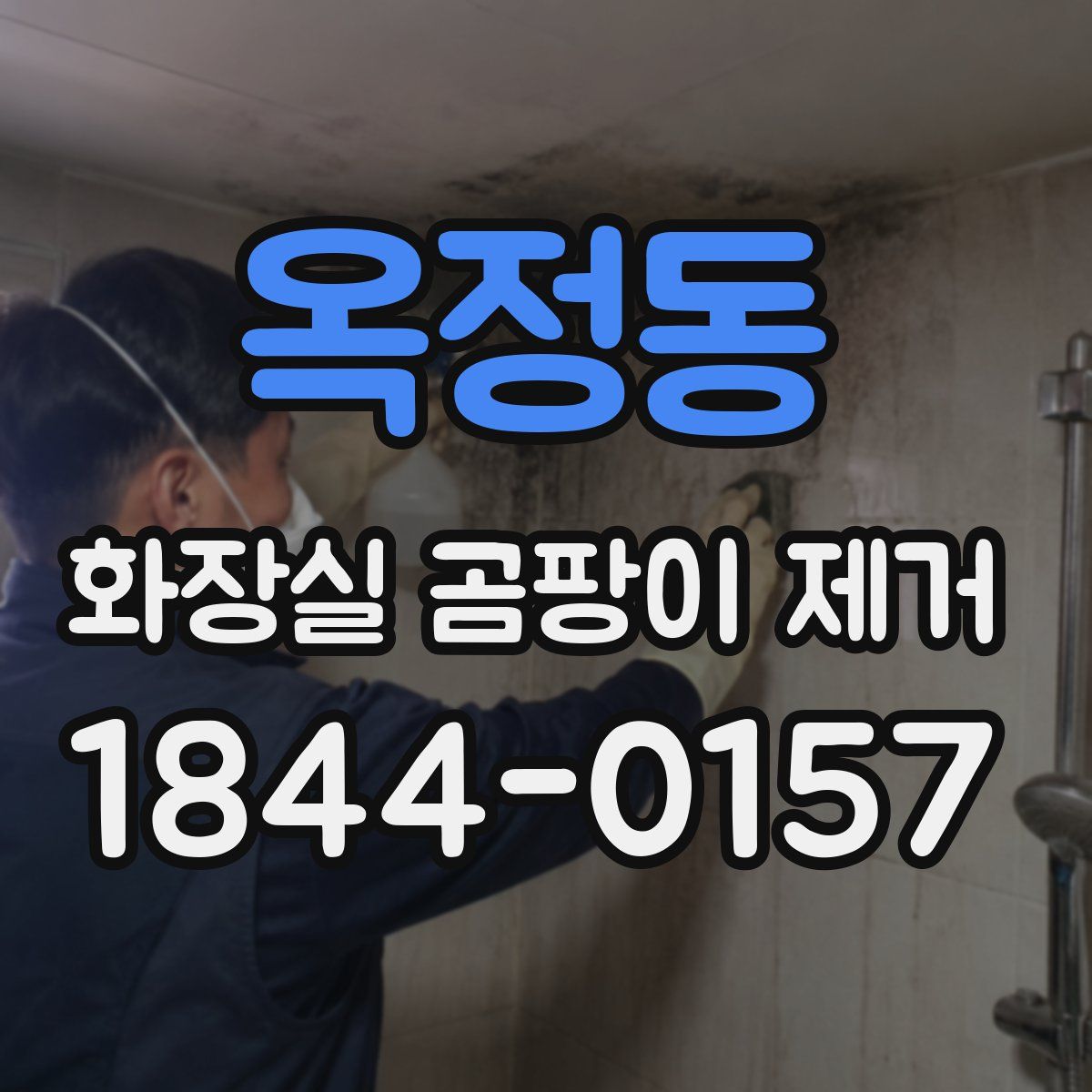 옥정동 화장실 곰팡이 제거