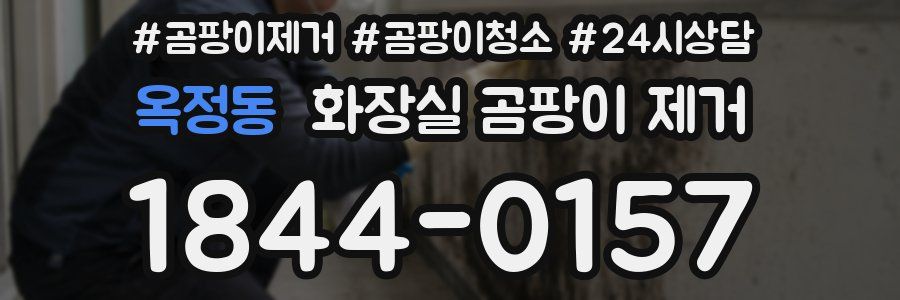 옥정동 화장실 곰팡이 제거