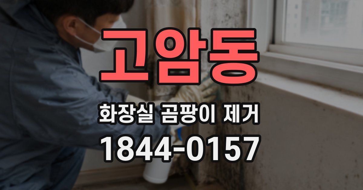 고암동 화장실 곰팡이 제거