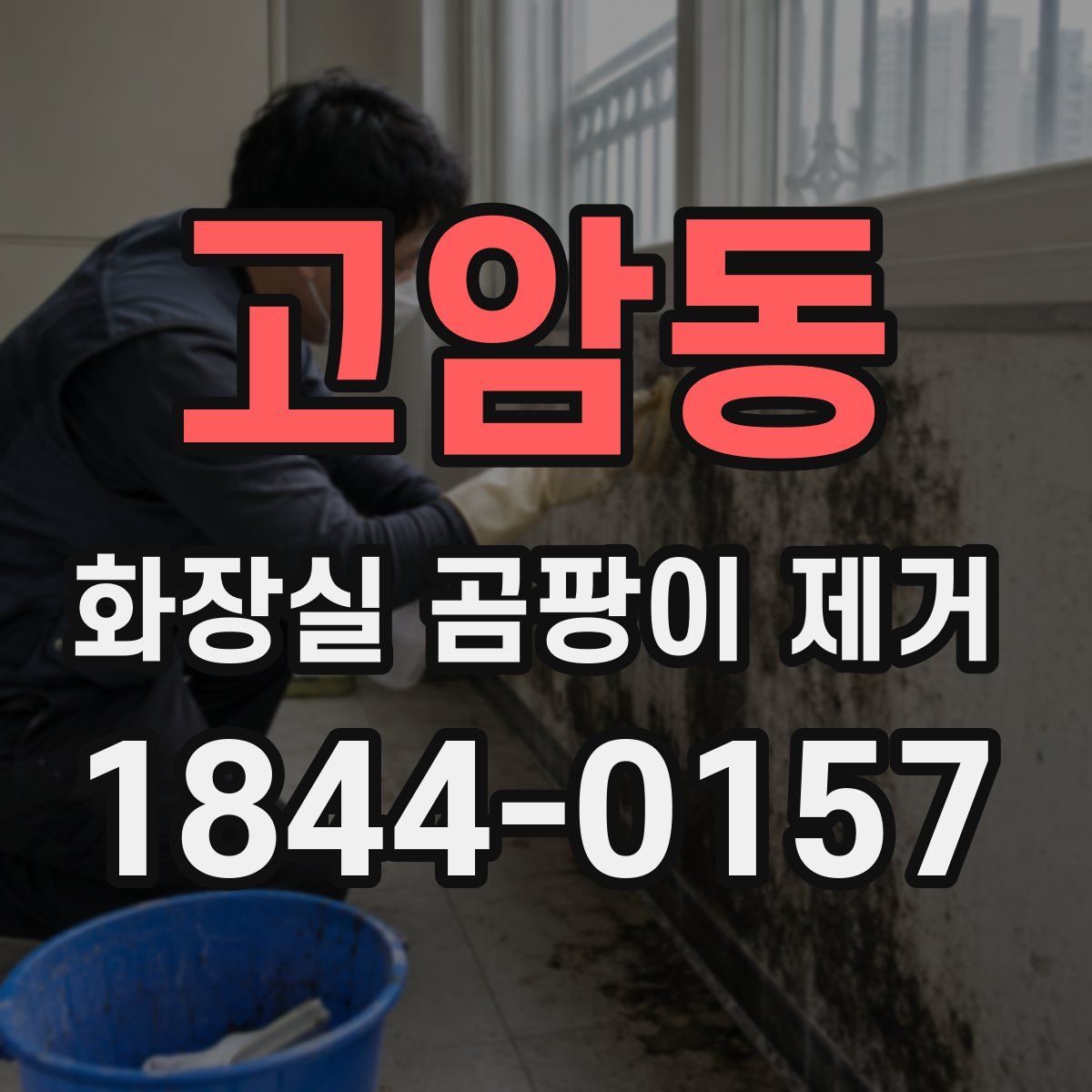 고암동 화장실 곰팡이 제거