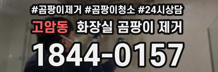고암동 화장실 곰팡이 제거