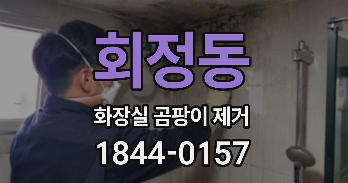 회정동 화장실 곰팡이 제거