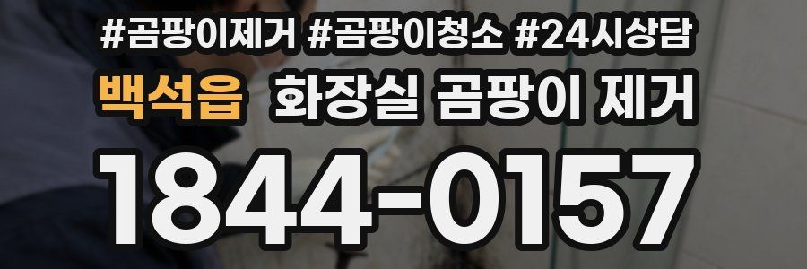 백석읍 화장실 곰팡이 제거