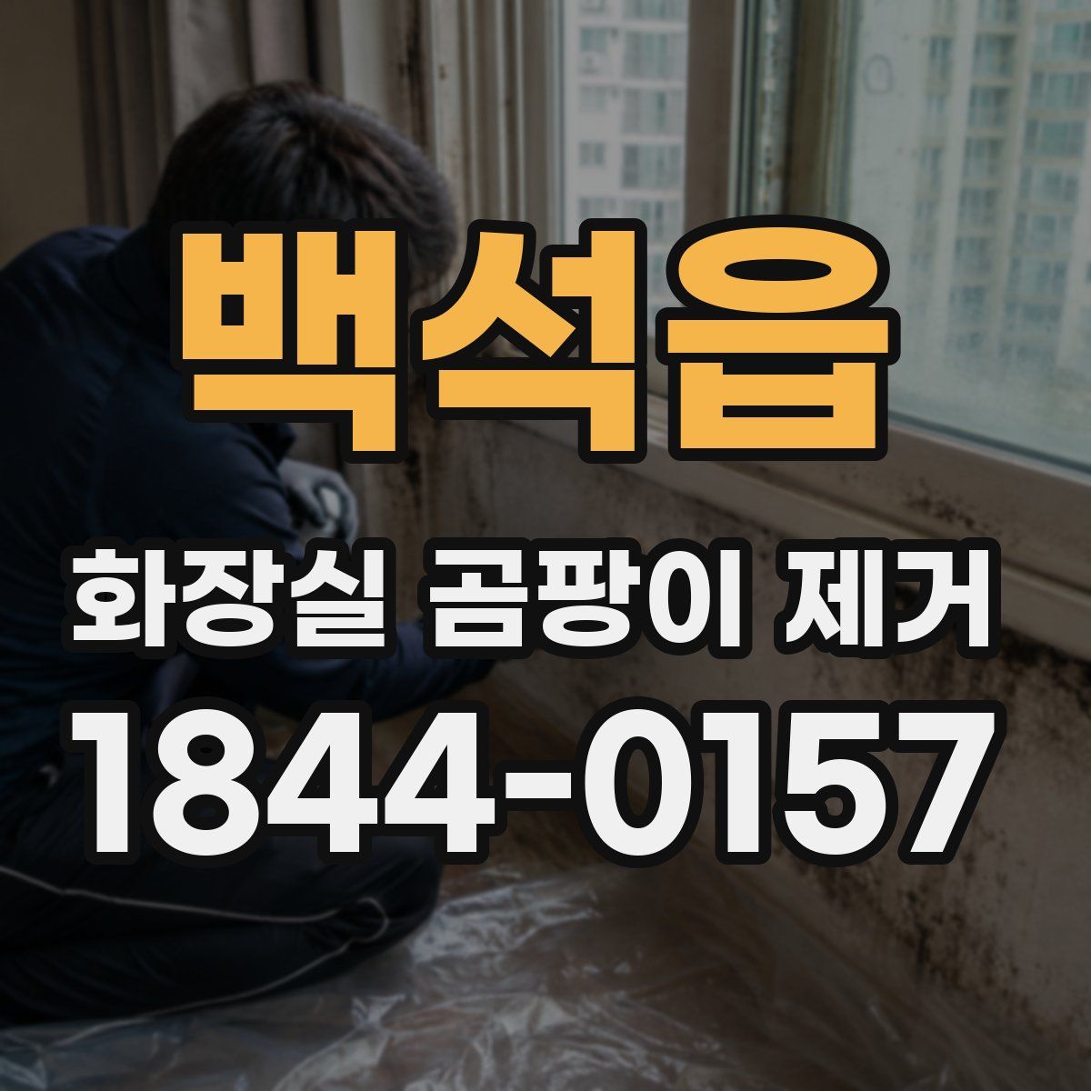백석읍 화장실 곰팡이 제거