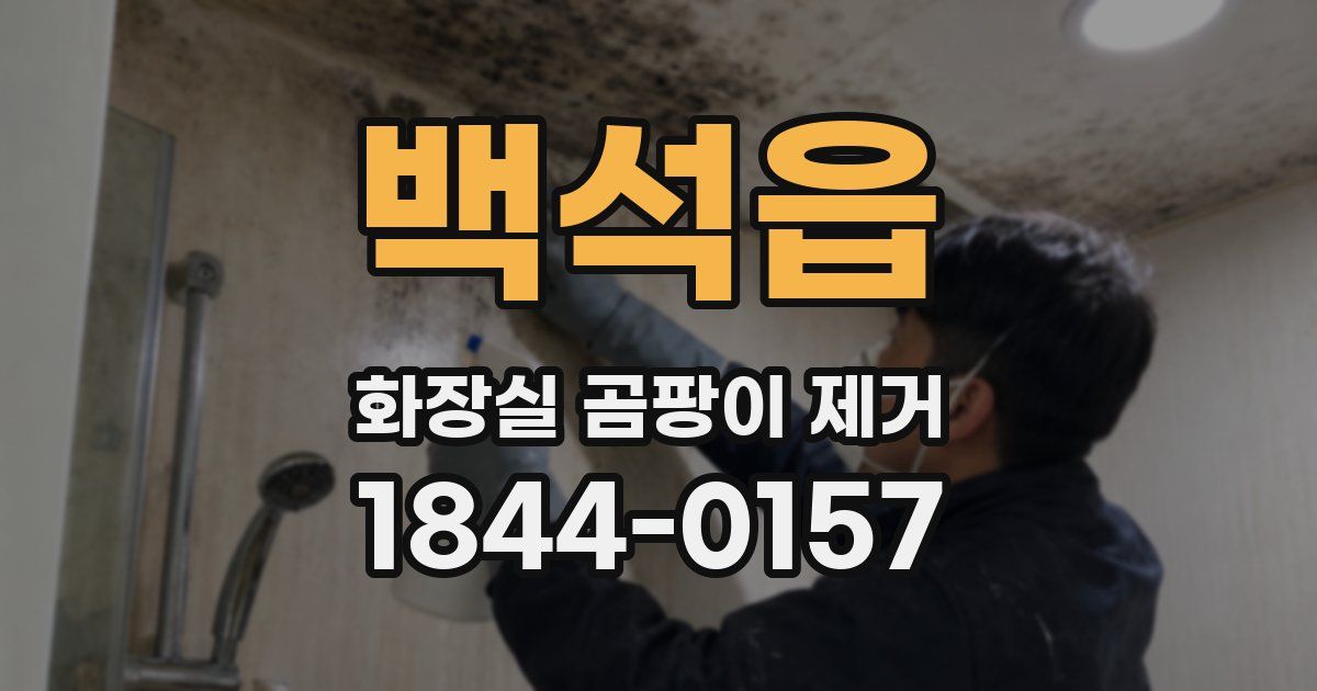 백석읍 화장실 곰팡이 제거