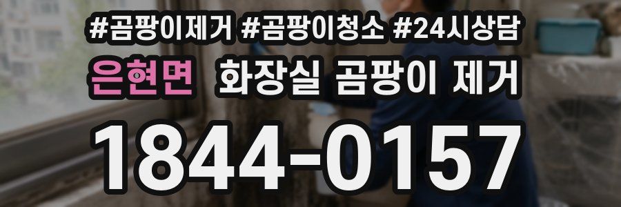 은현면 화장실 곰팡이 제거