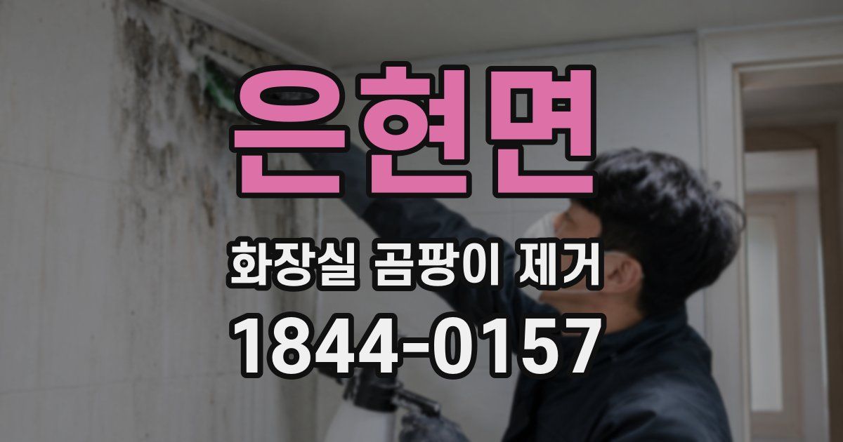 은현면 화장실 곰팡이 제거