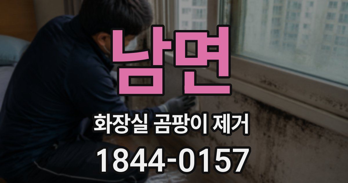 남면 화장실 곰팡이 제거