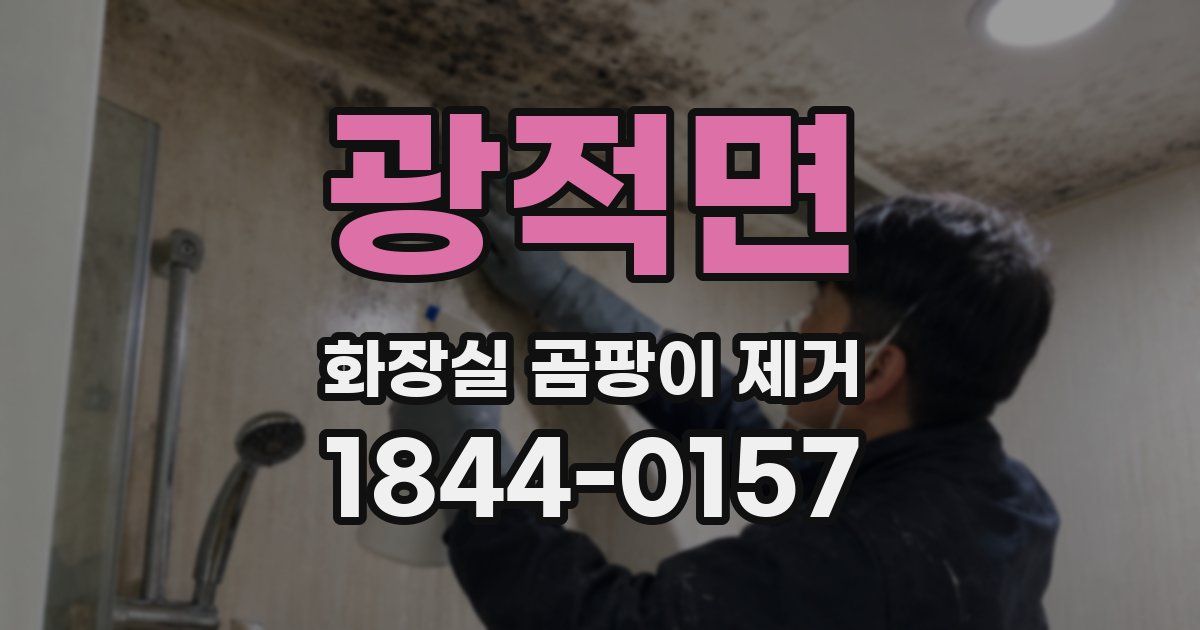 광적면 화장실 곰팡이 제거