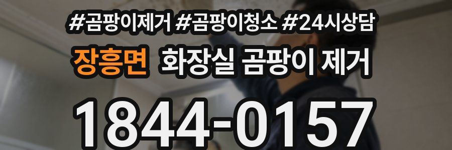 장흥면 화장실 곰팡이 제거