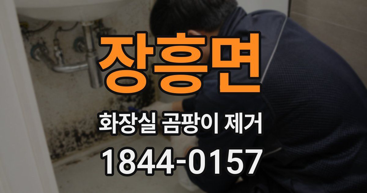 장흥면 화장실 곰팡이 제거