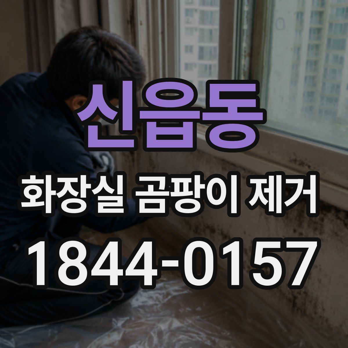 신읍동 화장실 곰팡이 제거