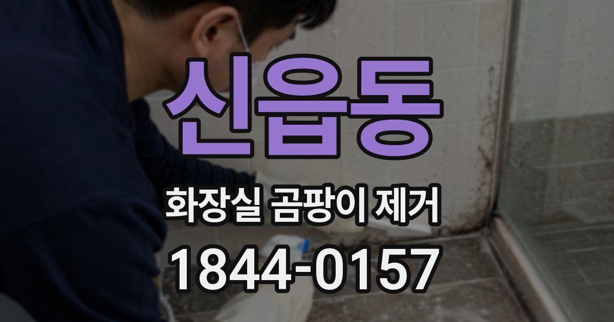 신읍동 화장실 곰팡이 제거