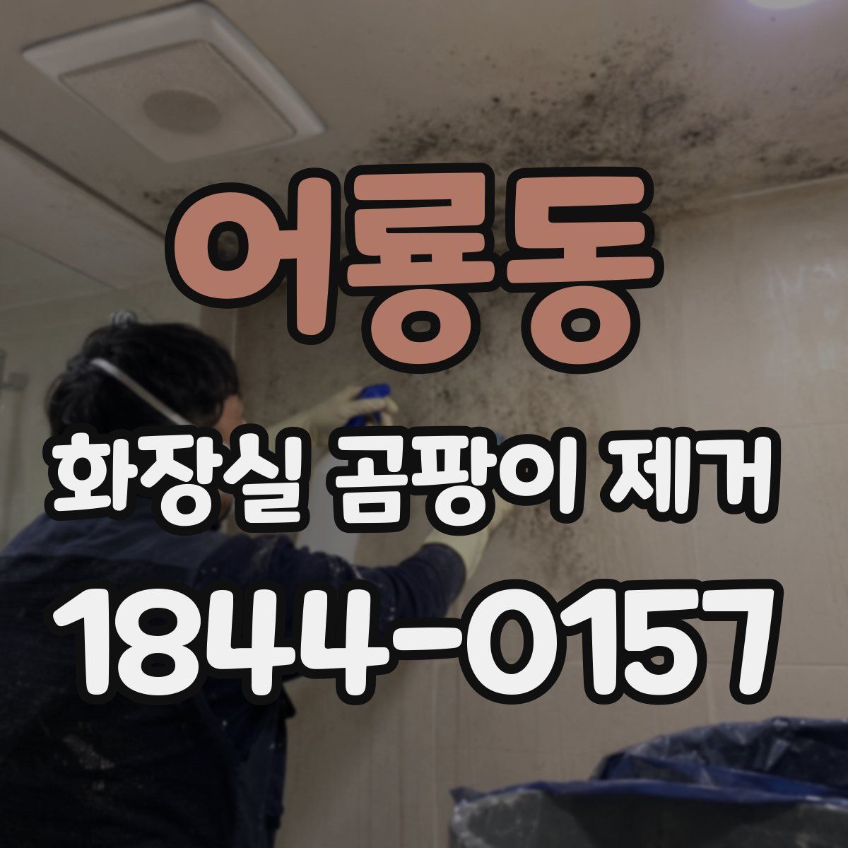 어룡동 화장실 곰팡이 제거
