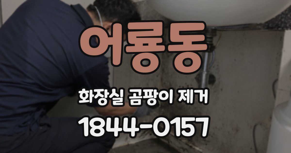어룡동 화장실 곰팡이 제거