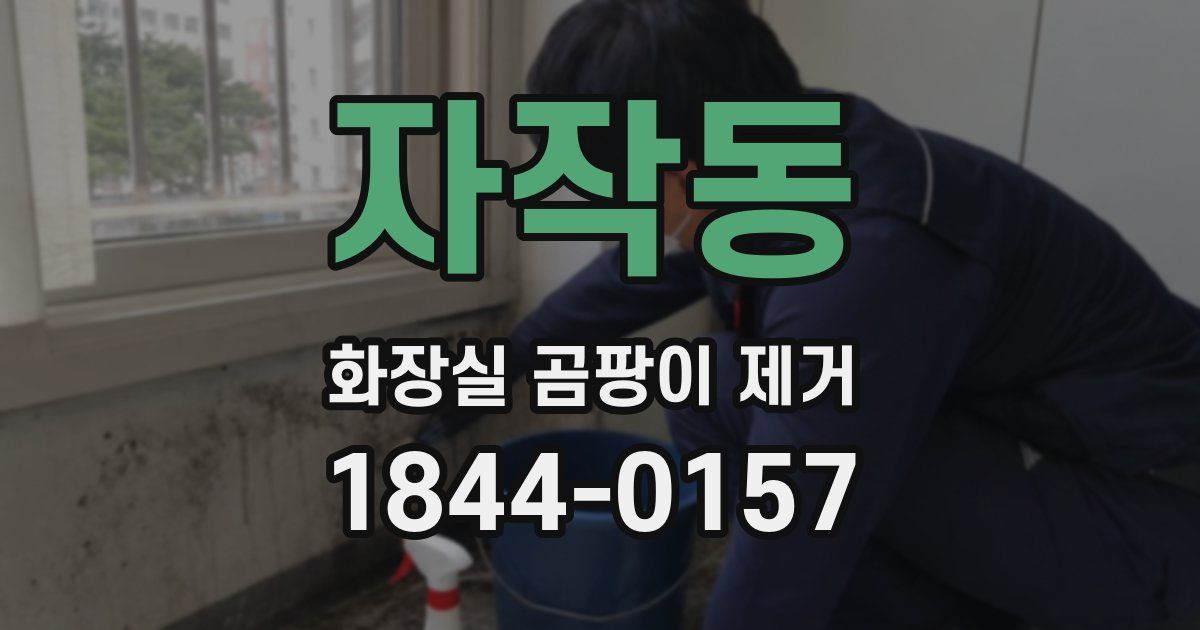 자작동 화장실 곰팡이 제거