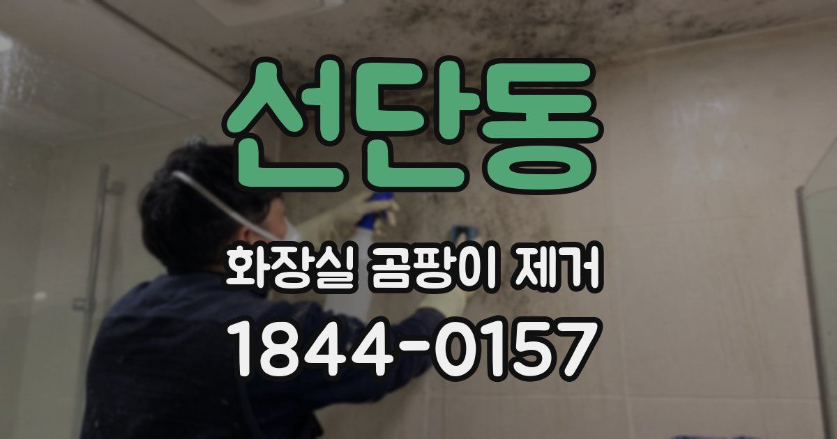 선단동 화장실 곰팡이 제거