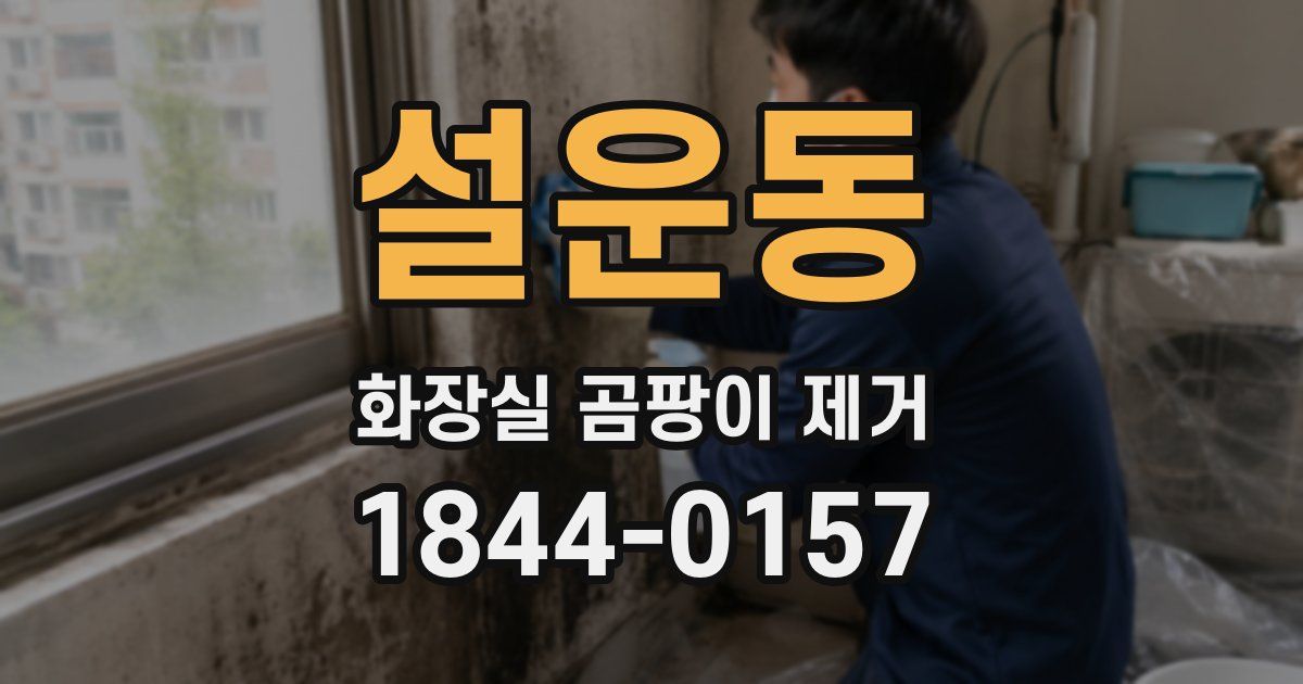 설운동 화장실 곰팡이 제거