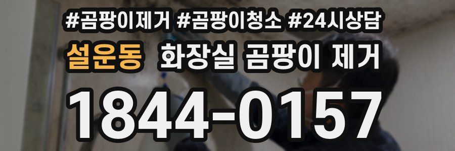 설운동 화장실 곰팡이 제거