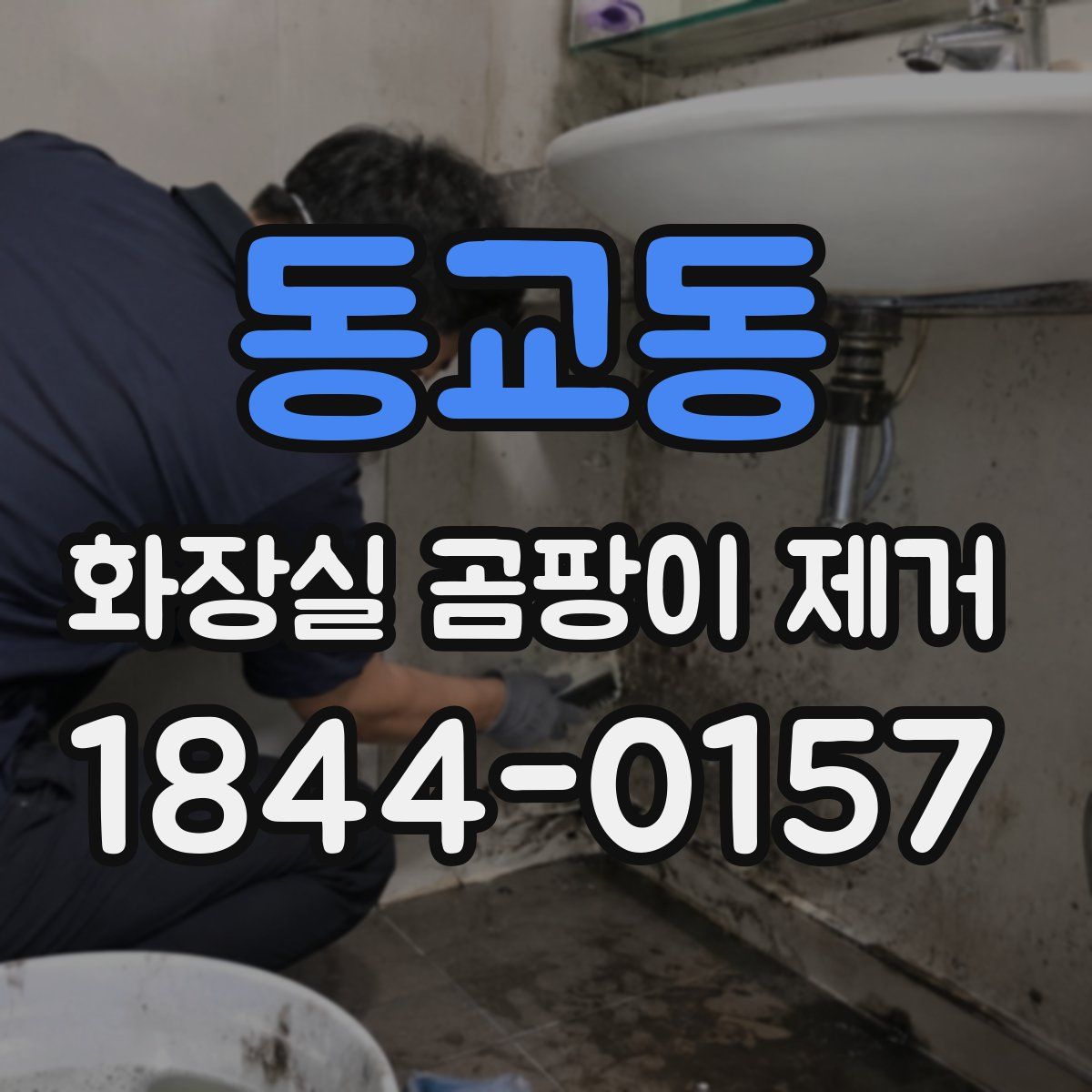 동교동 화장실 곰팡이 제거
