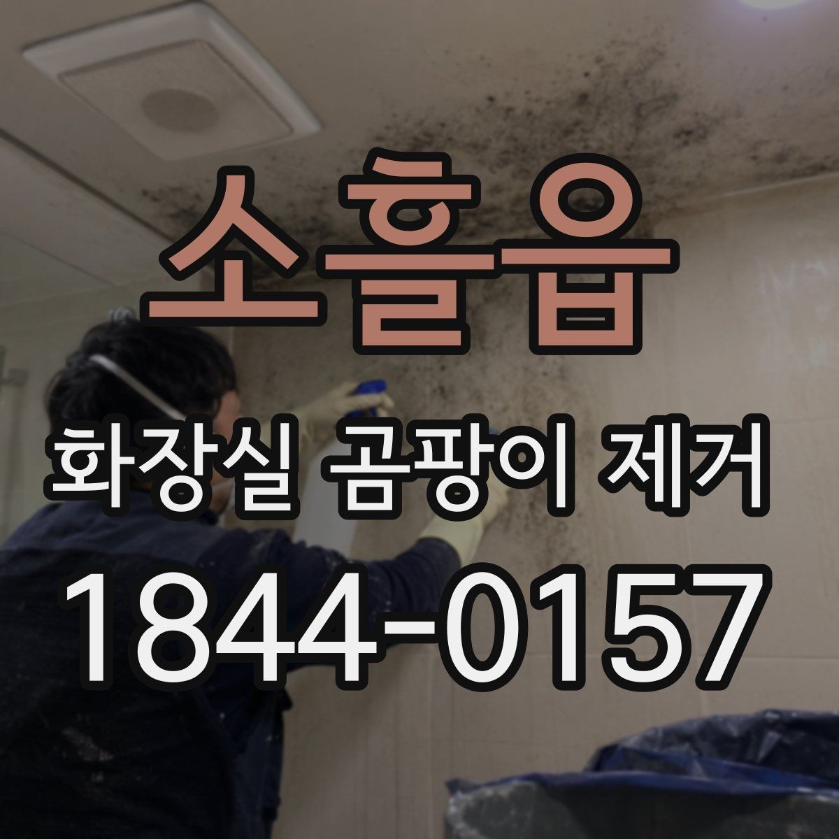 소흘읍 화장실 곰팡이 제거 천장과 벽면 곰팡이 동시 제거 시 순서